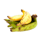 Banane plantain