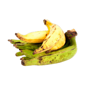 Banane plantain