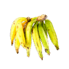 Banane plantain2
