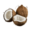Noix de coco sec