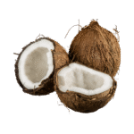 Noix de coco sec