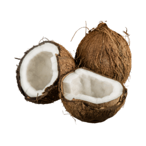 Noix de coco sec
