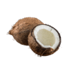 Noix de coco sec2